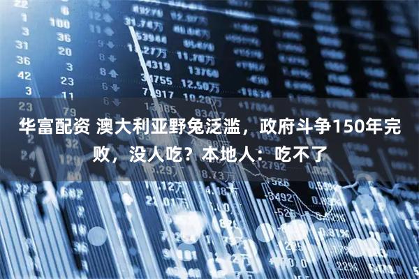 华富配资 澳大利亚野兔泛滥，政府斗争150年完败，没人吃？本地人：吃不了